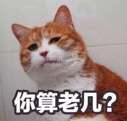 ..