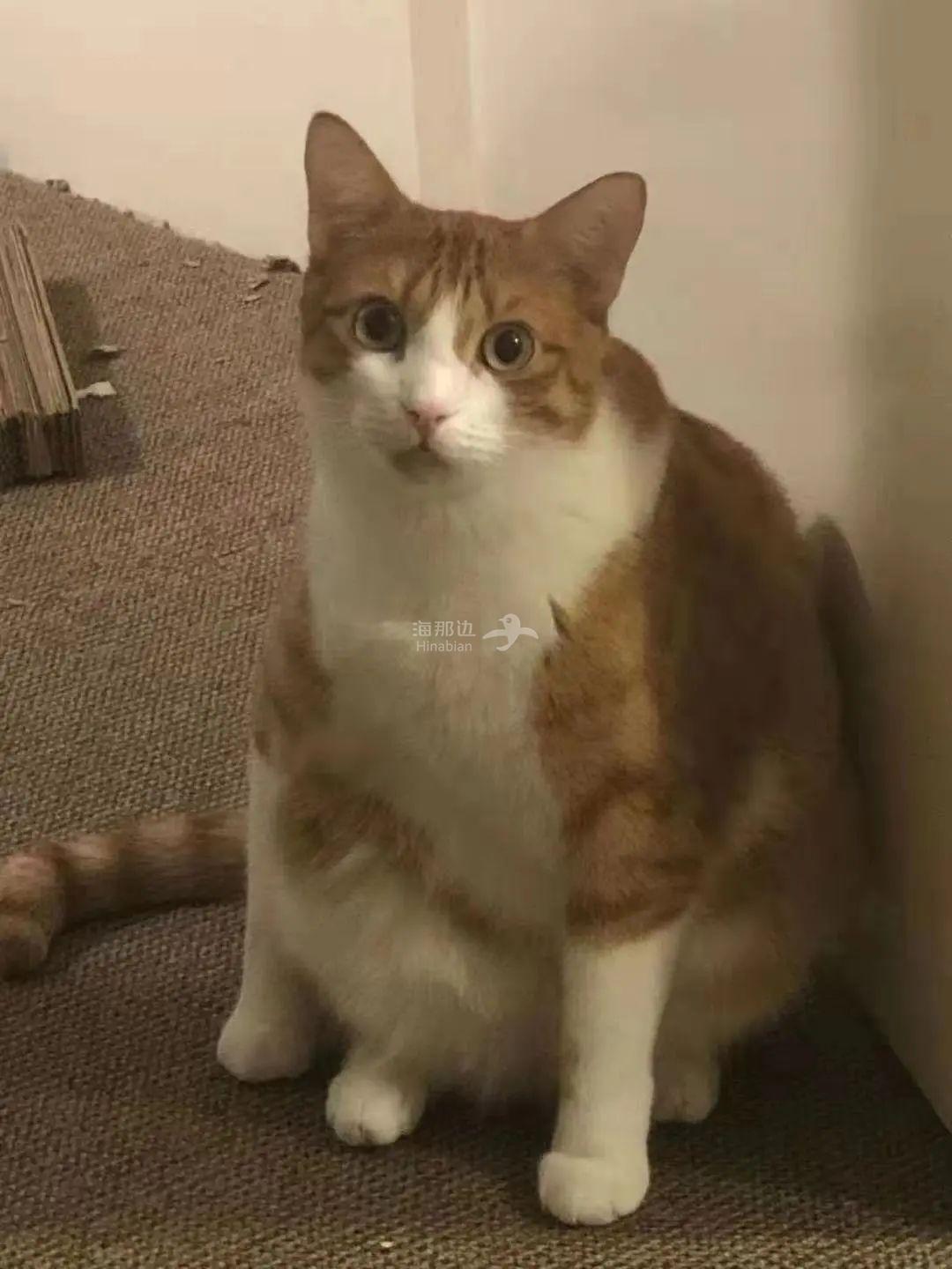 ..