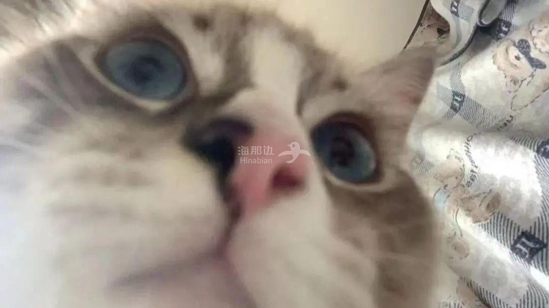 ..