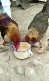 ..