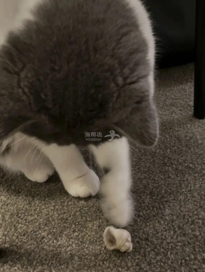 ..