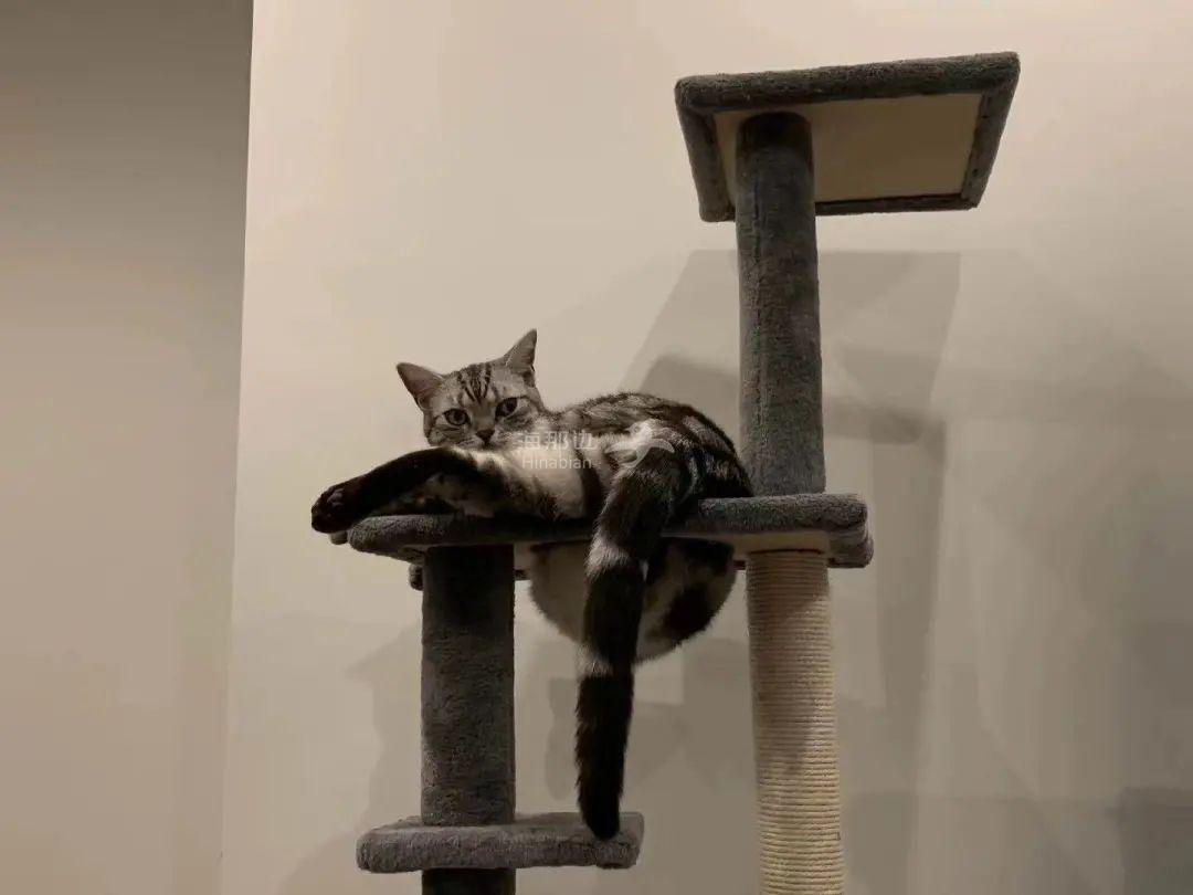 ..