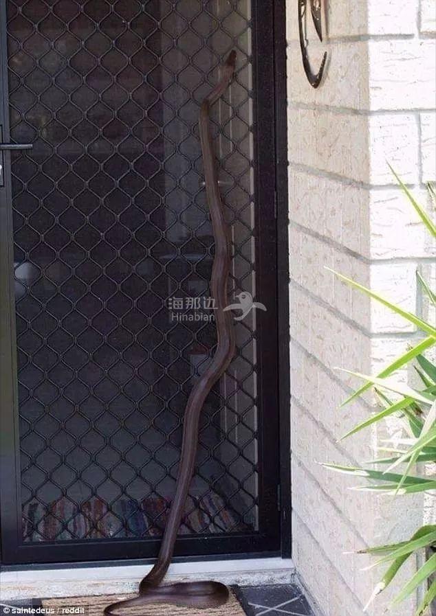 ..