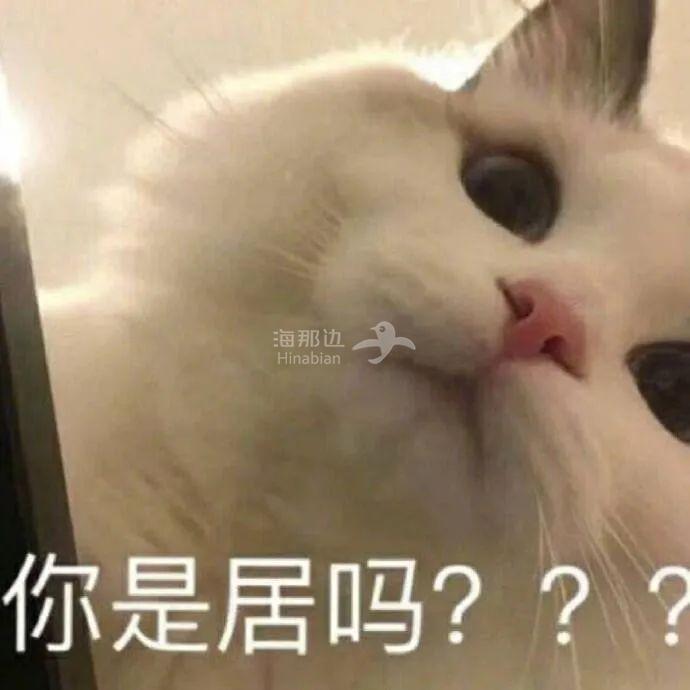 ..