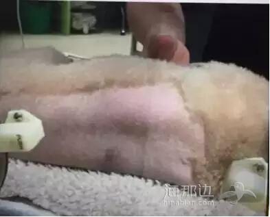 ..
