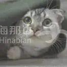 ..