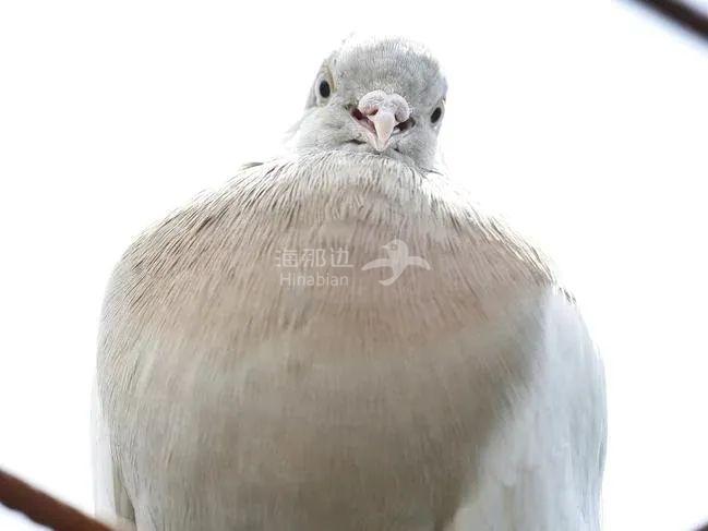 ..