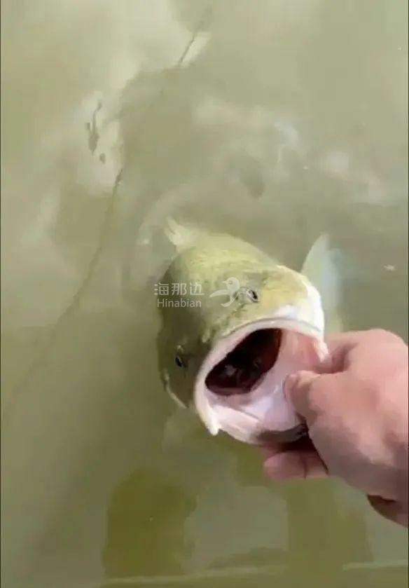 ..