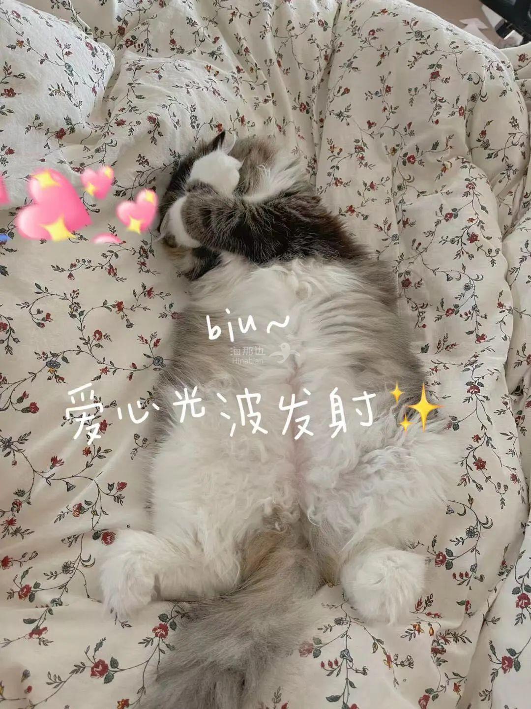 ..