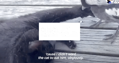..