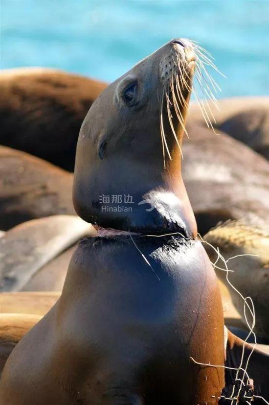 ..