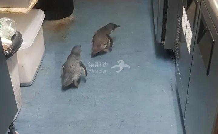 ..