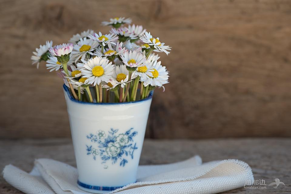 雏菊, 指出花, 花, 白, 花瓶, 船只, 德卡, 乡村生活, 关闭