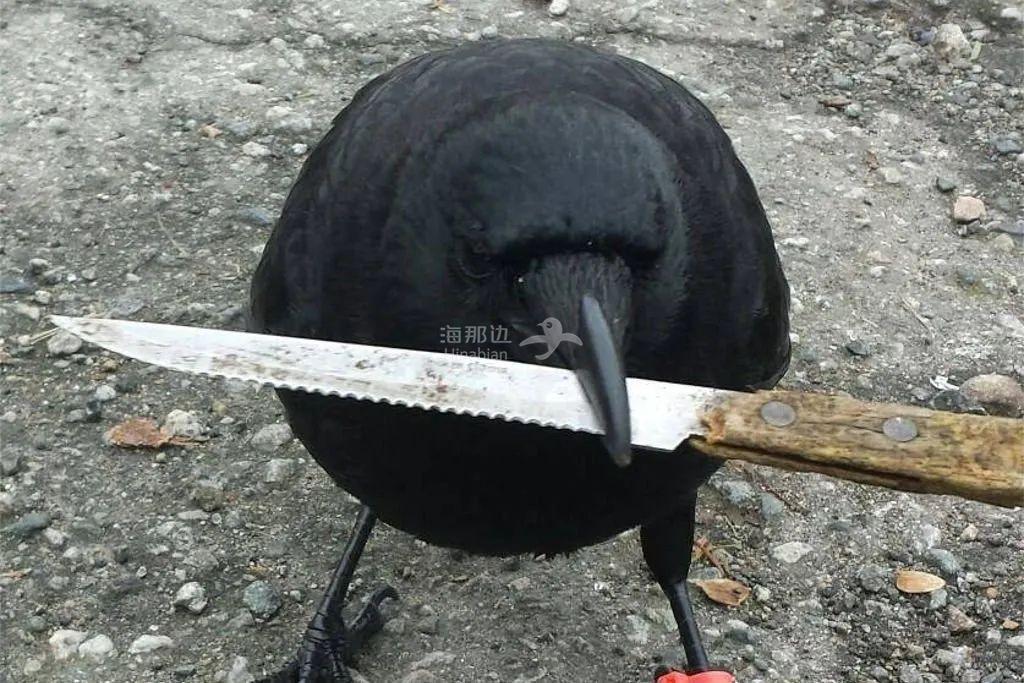 ..
