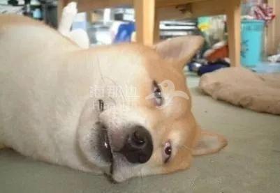 ..