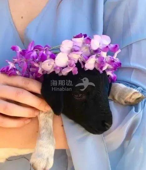 截屏2021-03-19 下午7.25.43.jpg ..