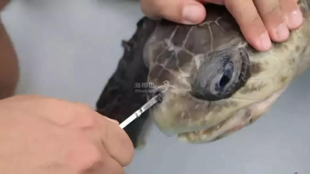 ..