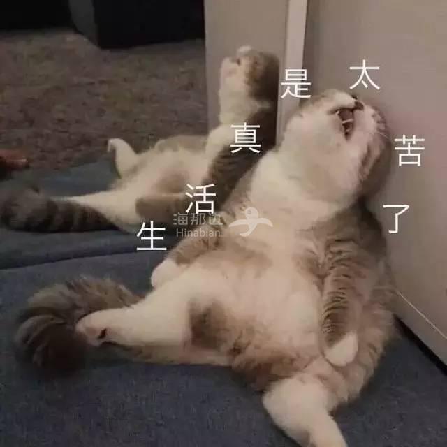 ..