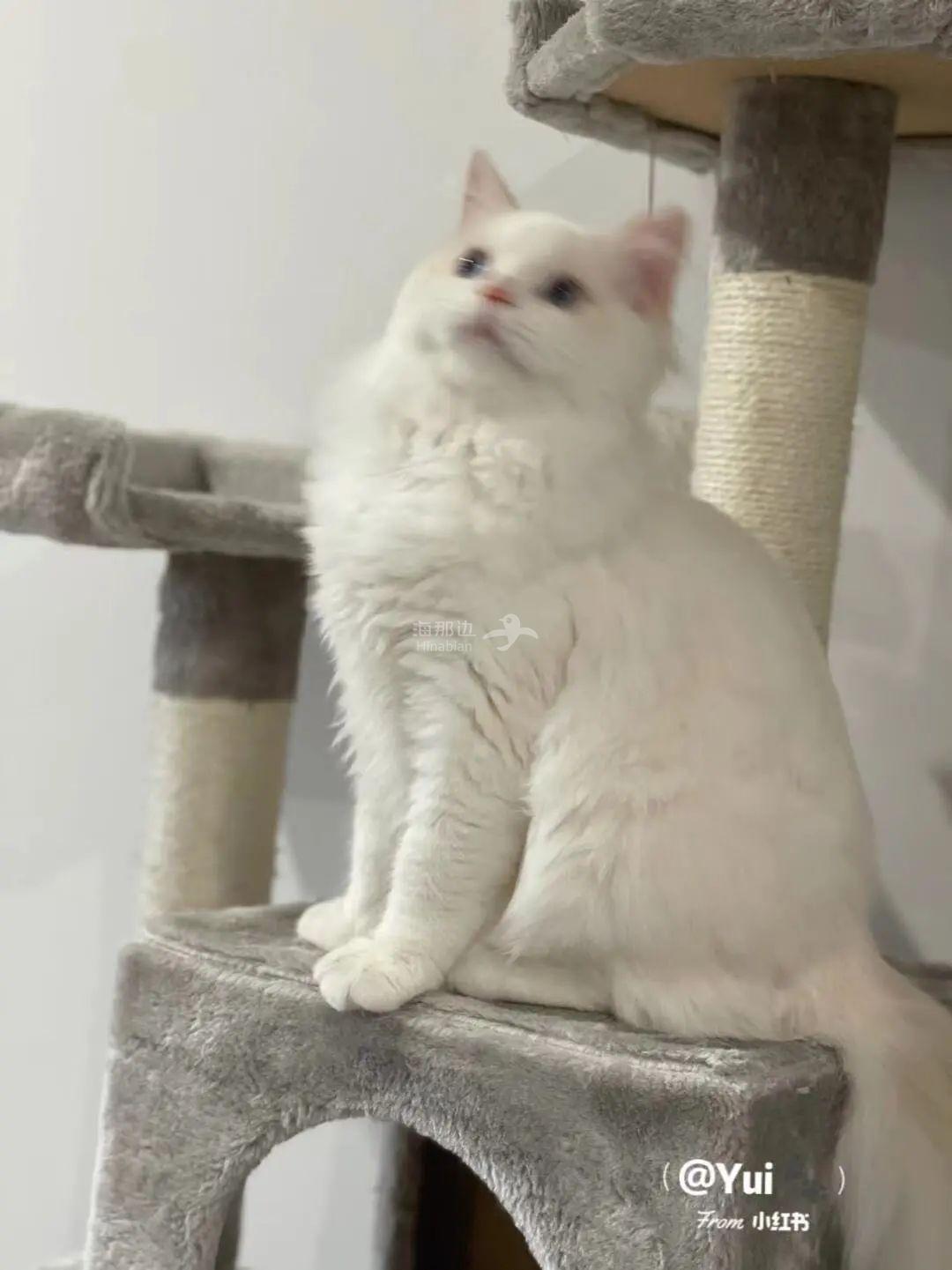 ..