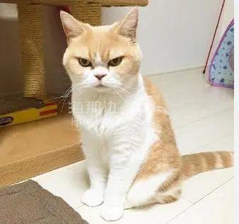 ..