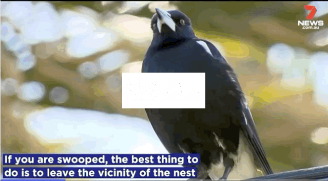 ..