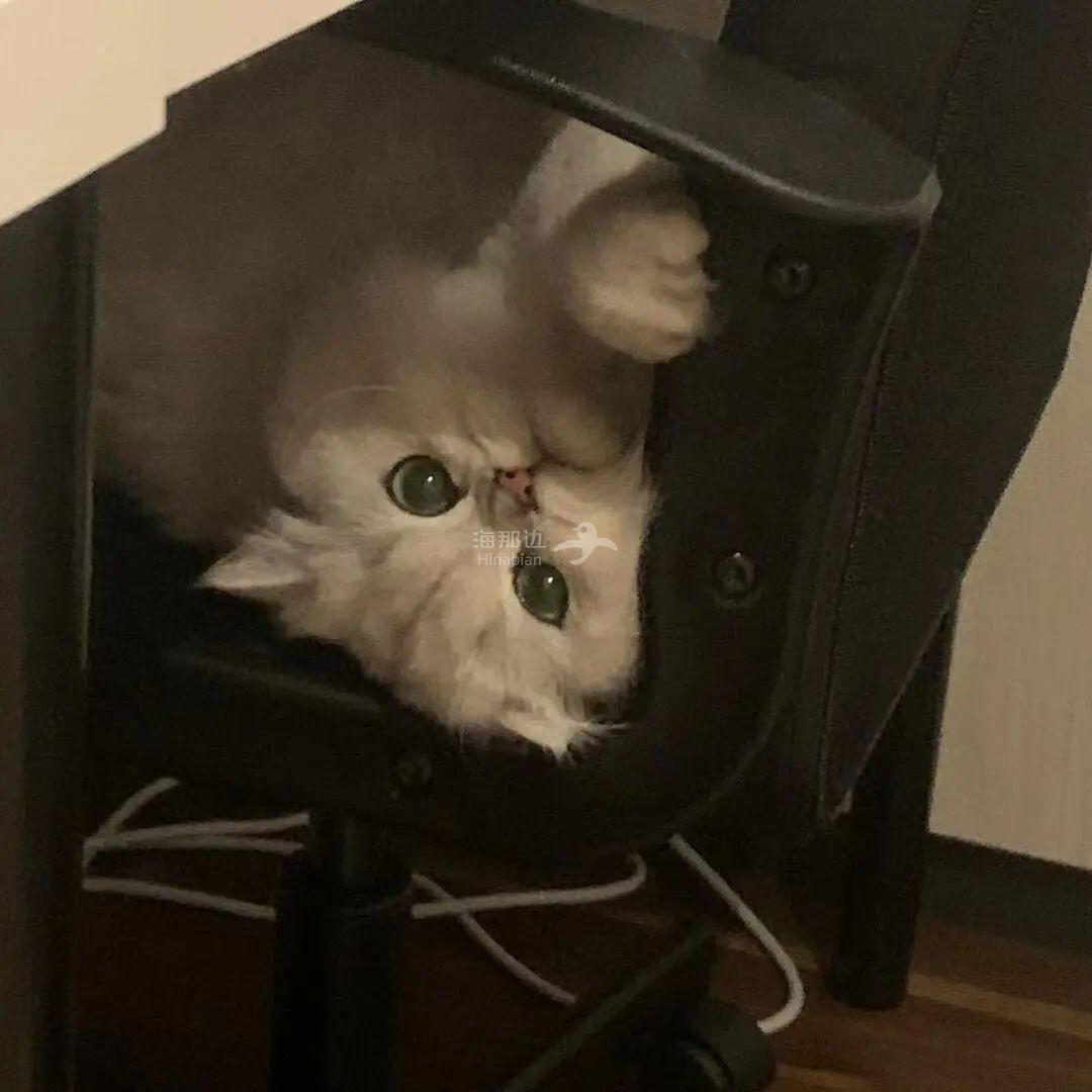 ..