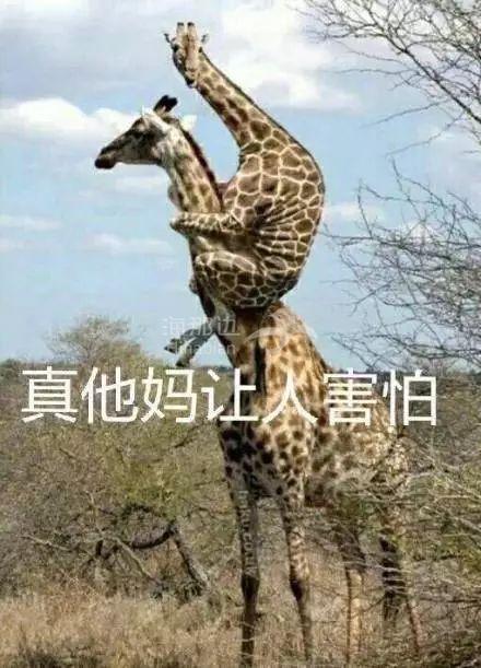 ..