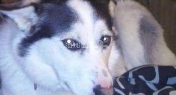 ..