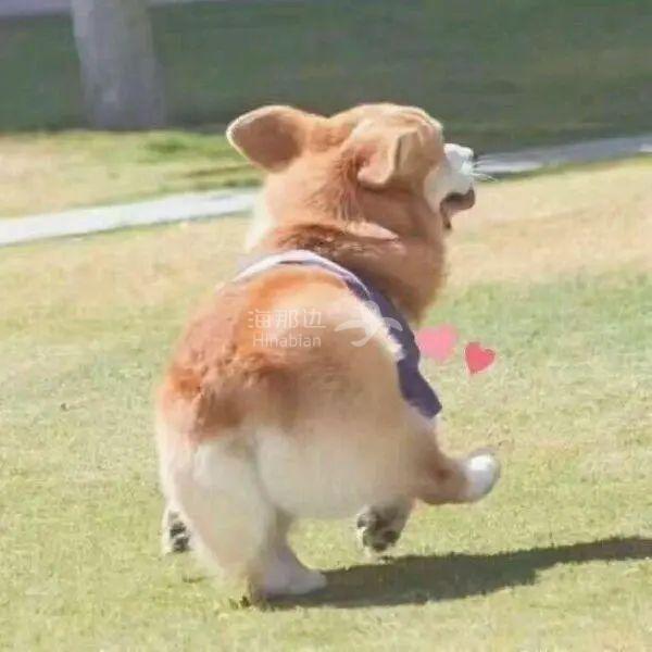 ..