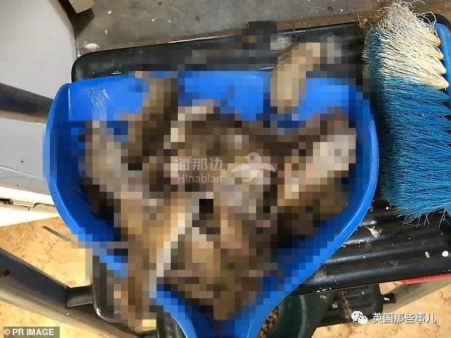 ..