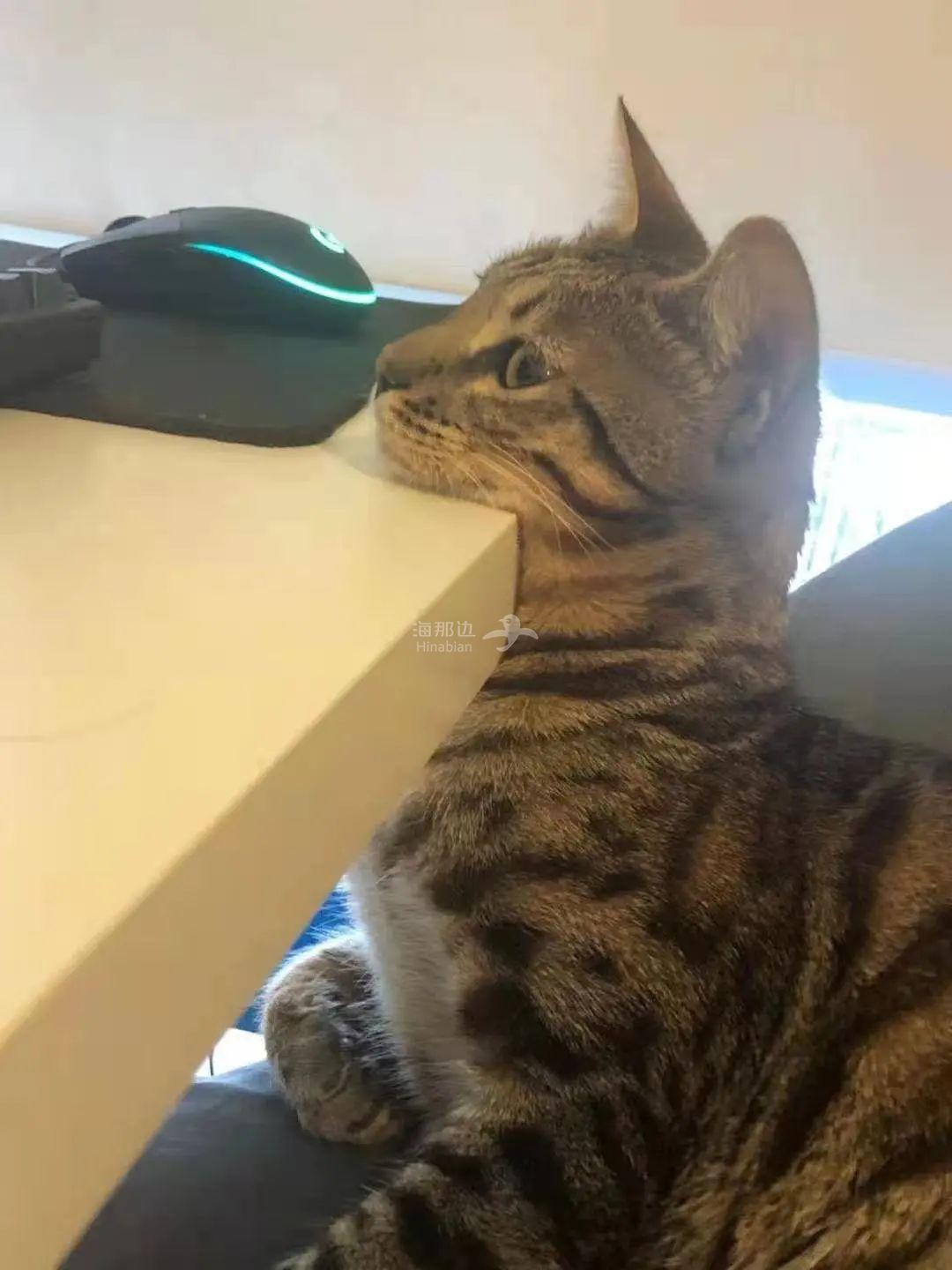 ..