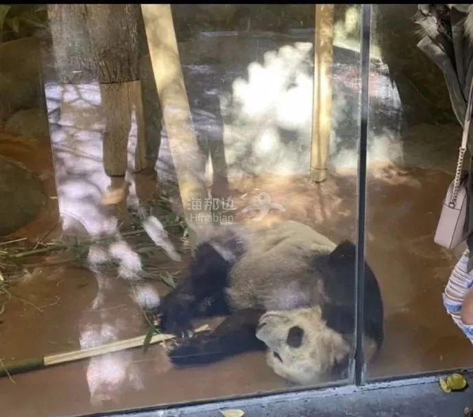 ..