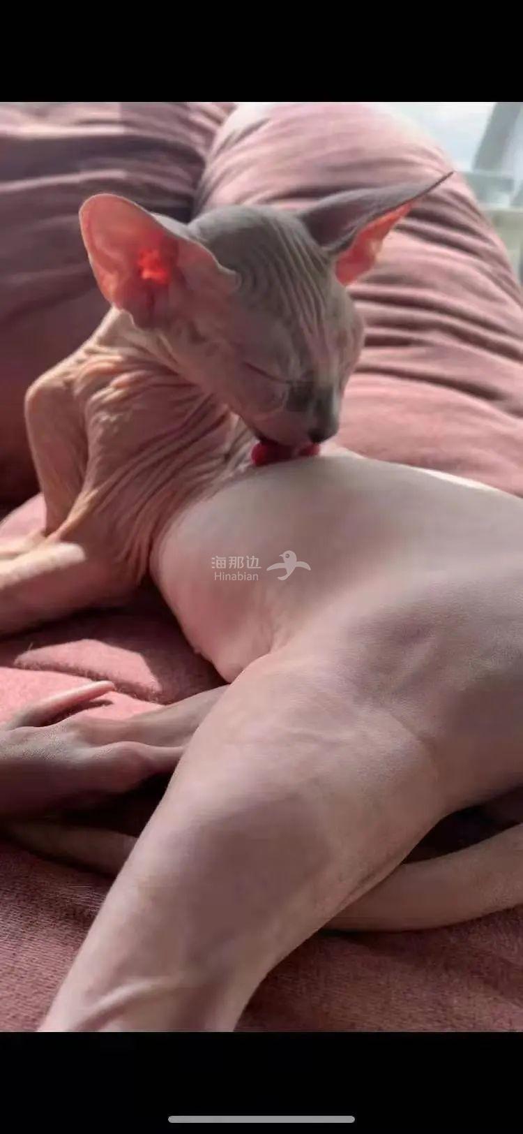 ..