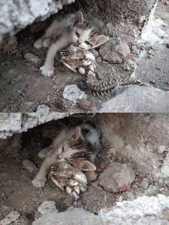 ..