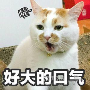 347460f72641df174eead7a6752920a9.jpeg