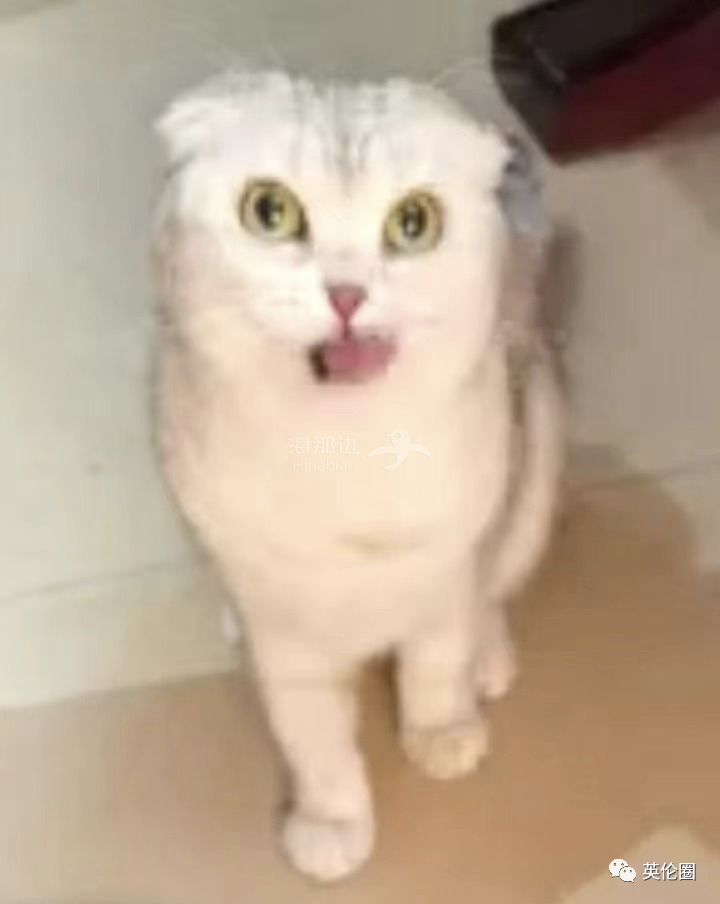 ..