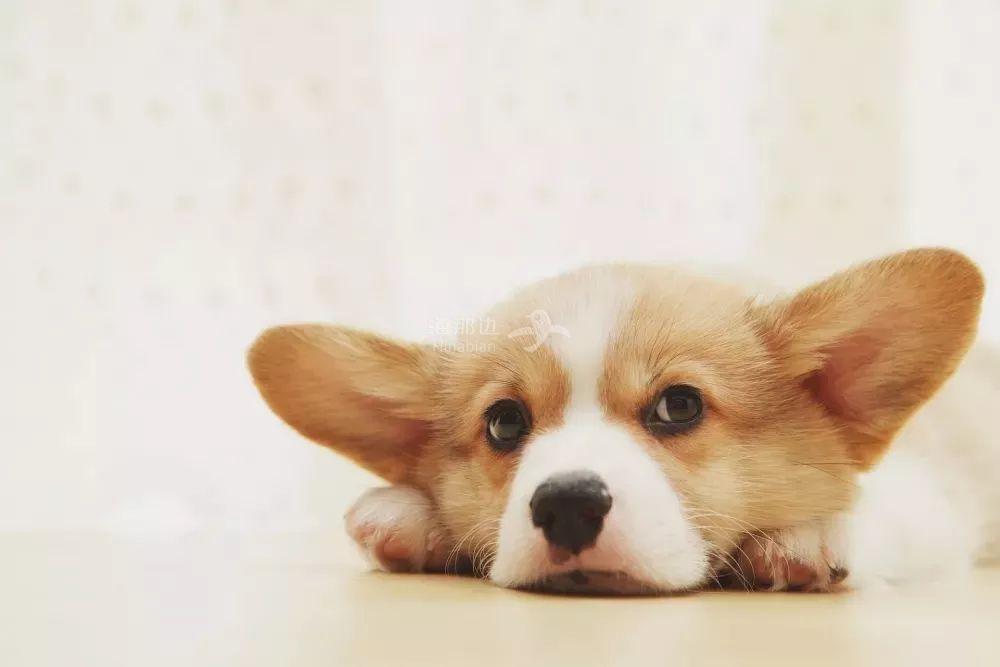 ..