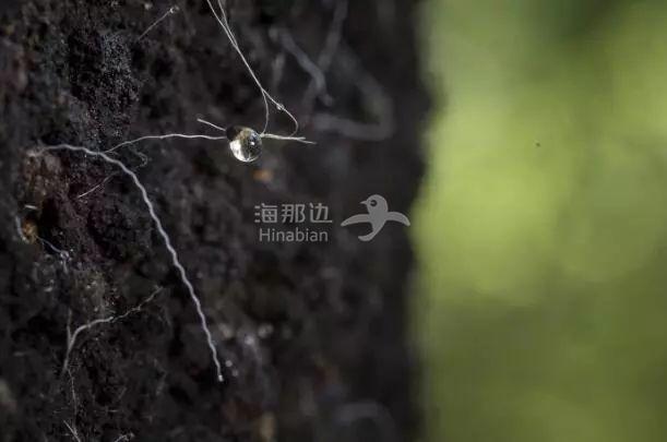 ..