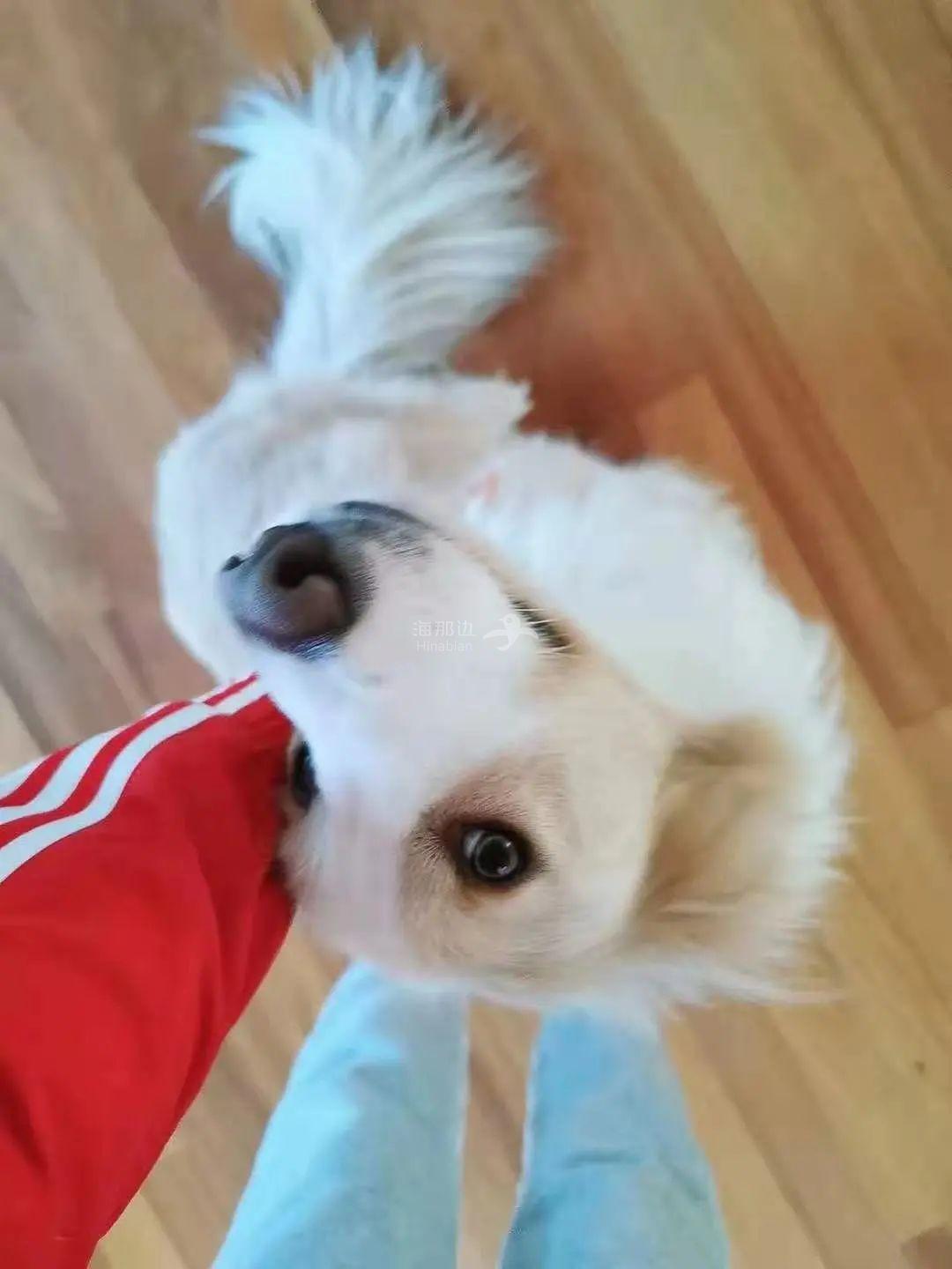 ..
