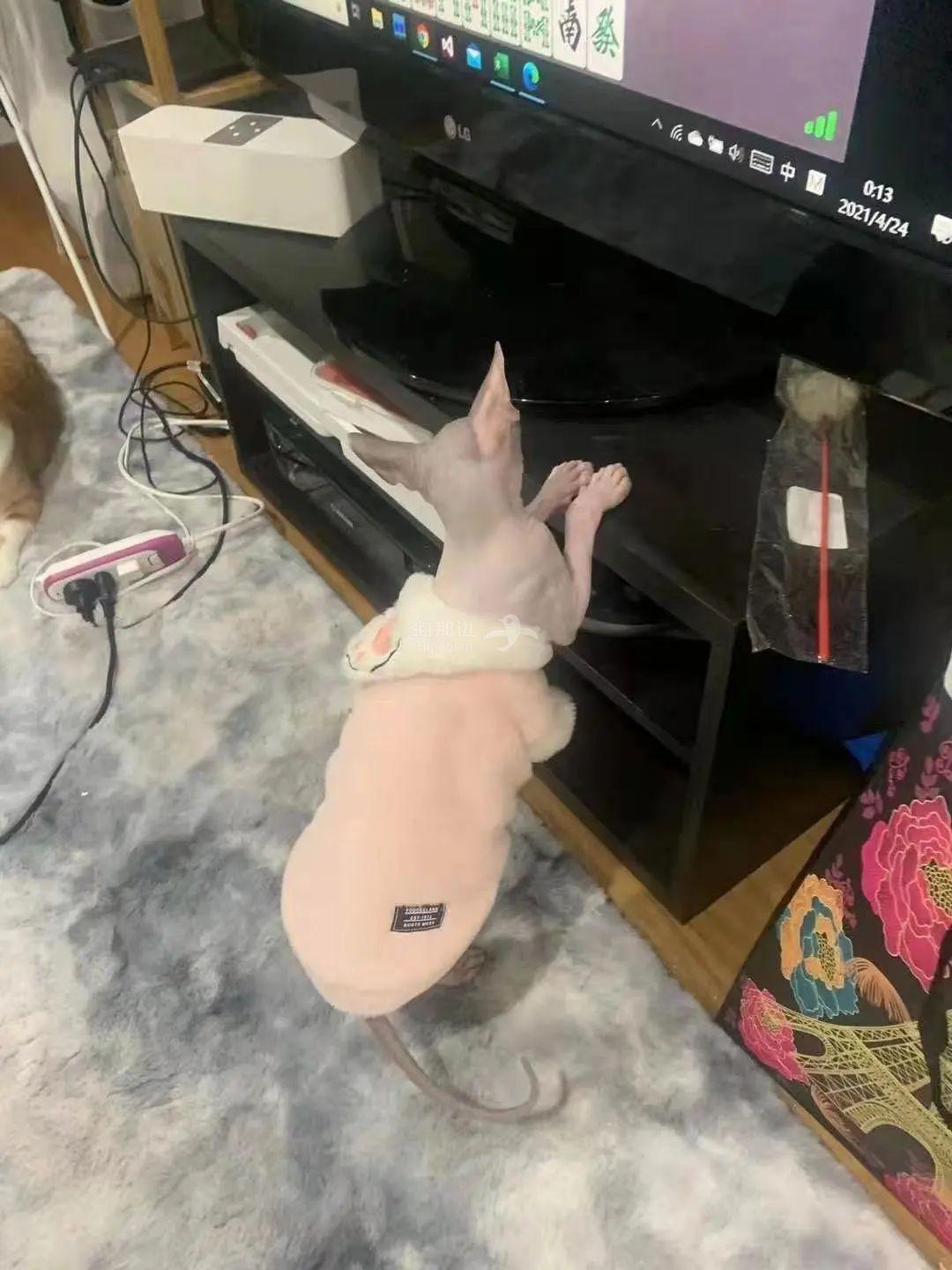..