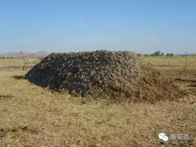 ..