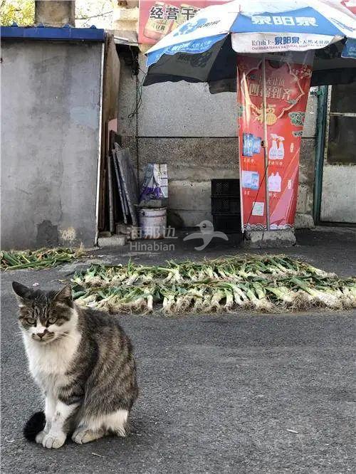 ..