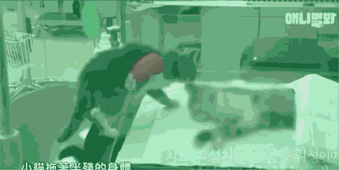 ..