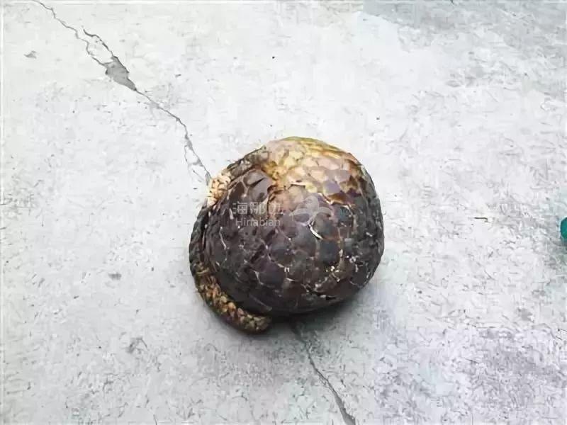 ..