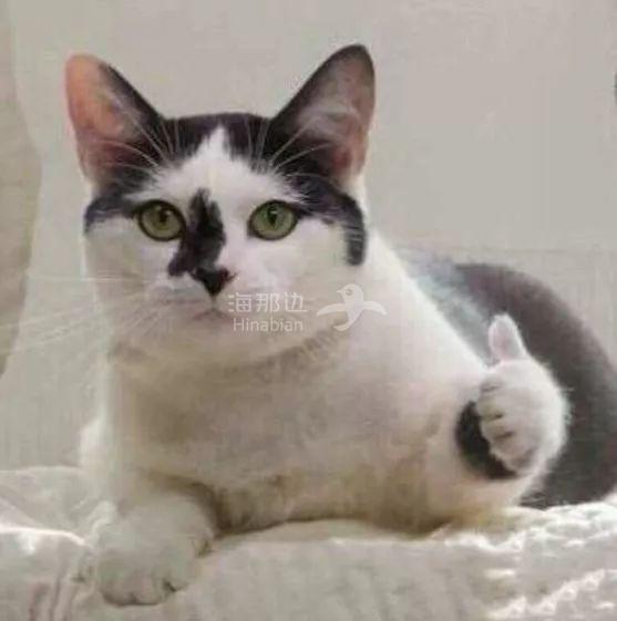 ..
