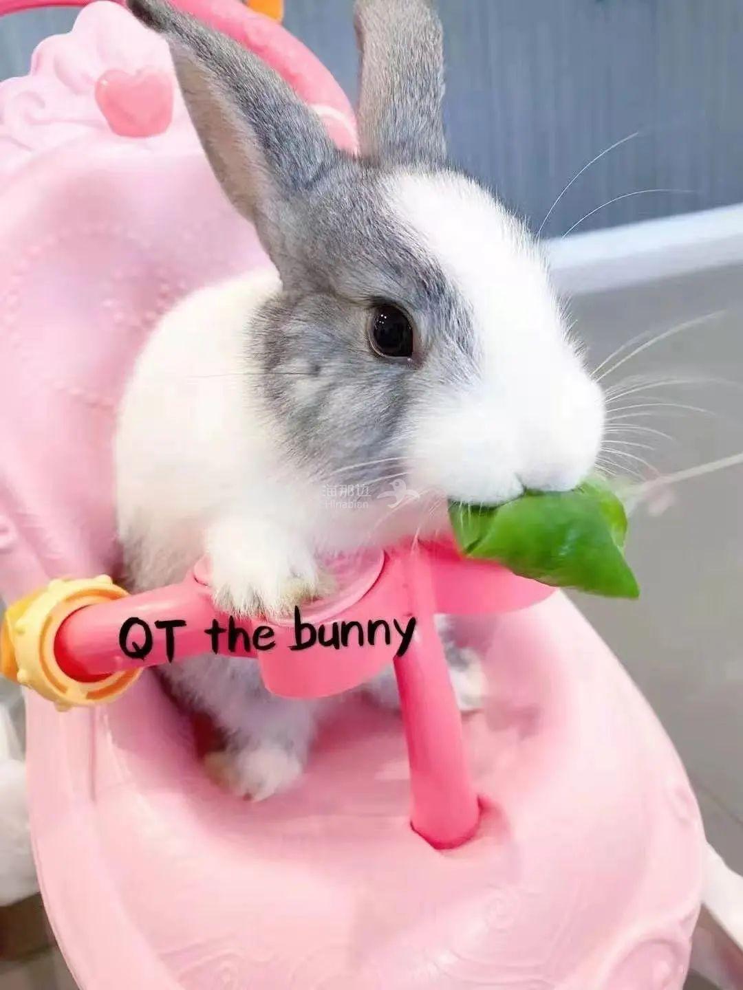 ..