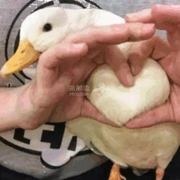 ..