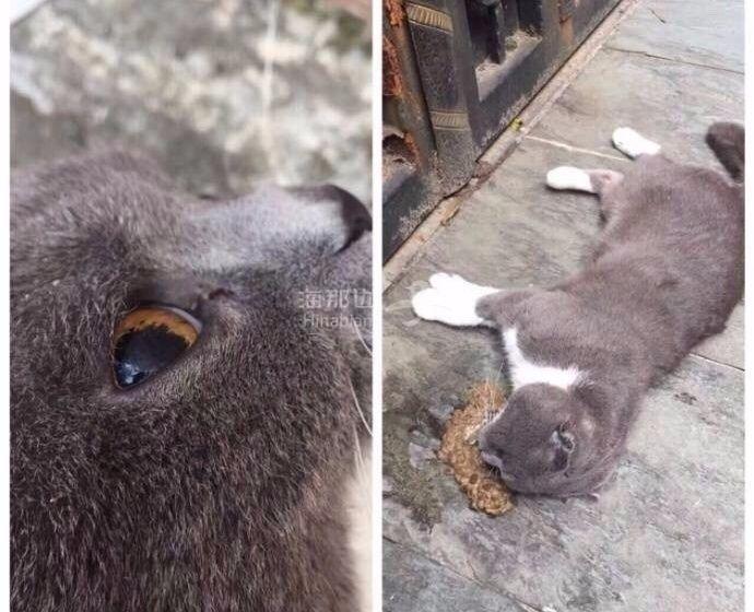 ..