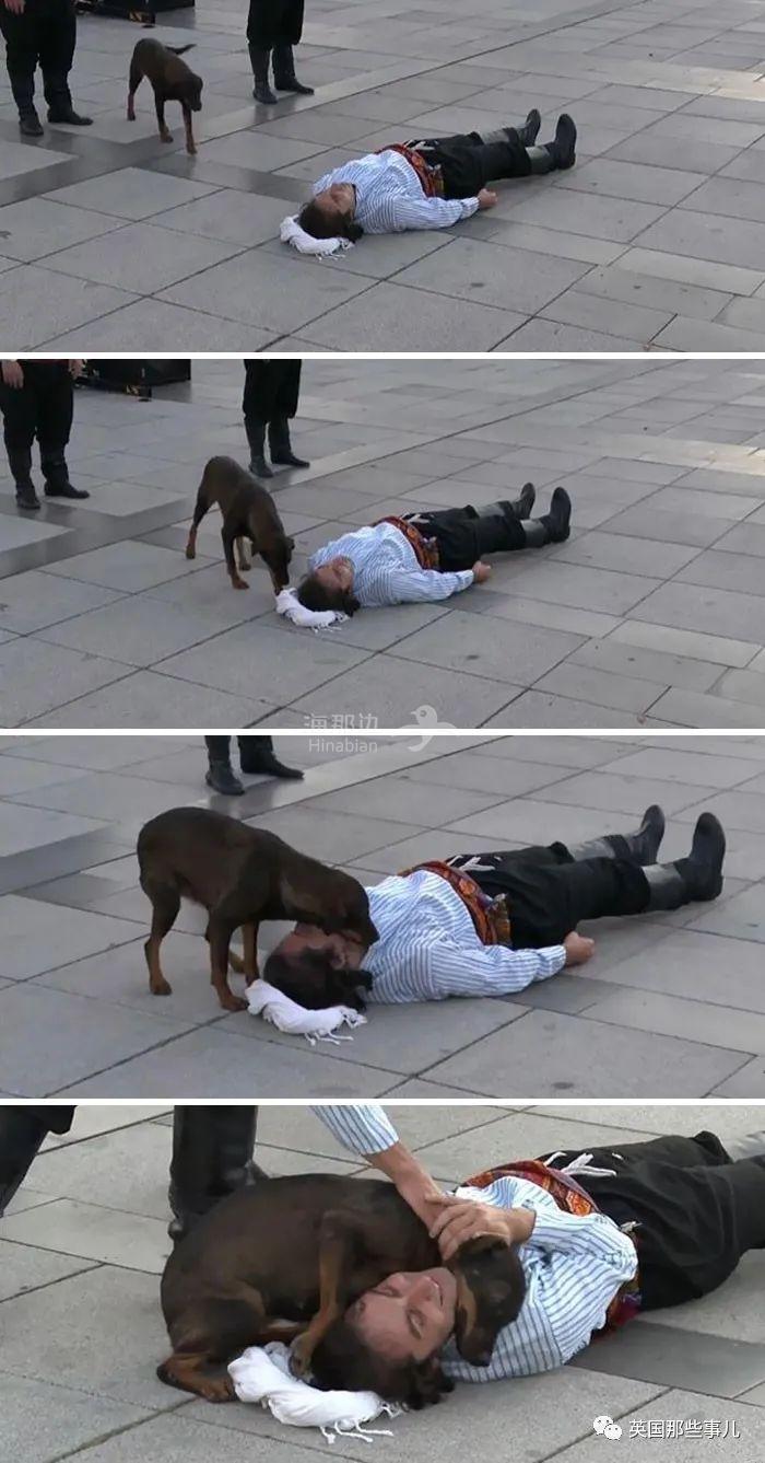 wholesome-pictures-21-600eca8b7161b__700.jpg ..
