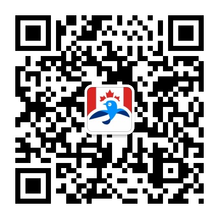 8554e145111bfbcd963cea089676be33.jpg